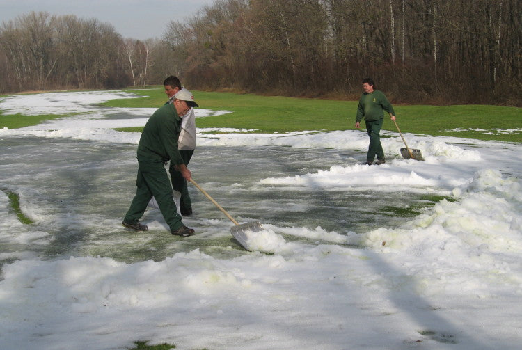 1.  Moving snow from green CCG  Austria