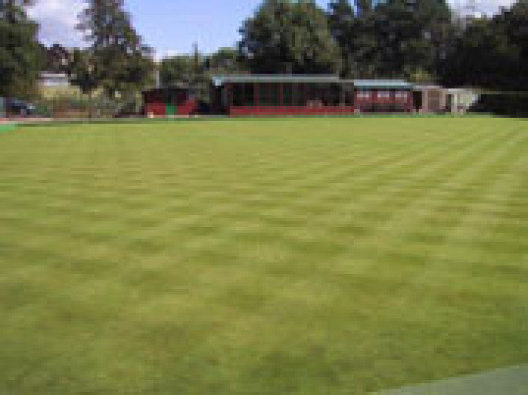 Volunteer effort on bowls green