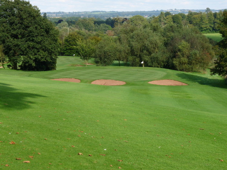 3rd fairway (5)