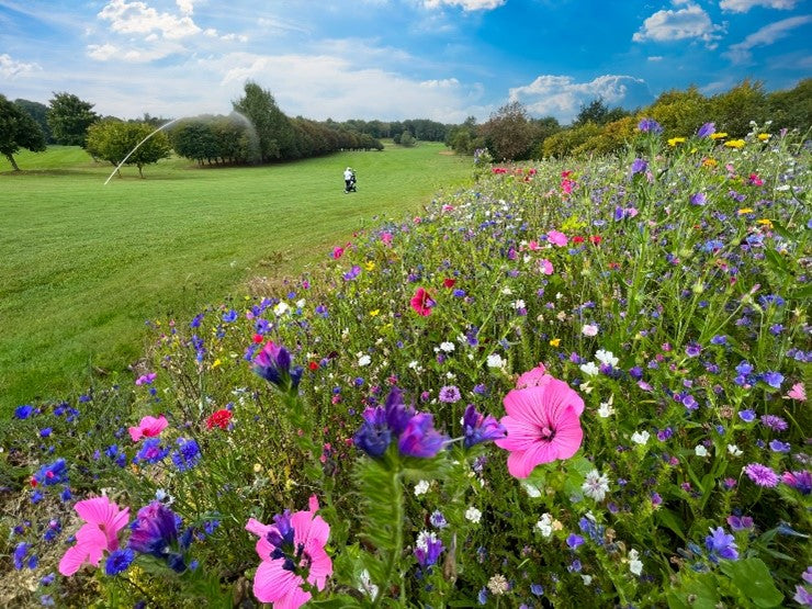 Sustainable seed solutions of today and tomorrow to be found on the DLF stand at BTME 2025