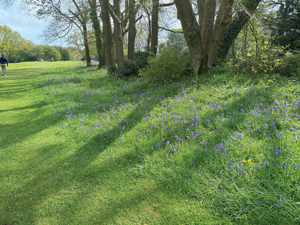 Award winning ecology at Huntercombe Golf Club