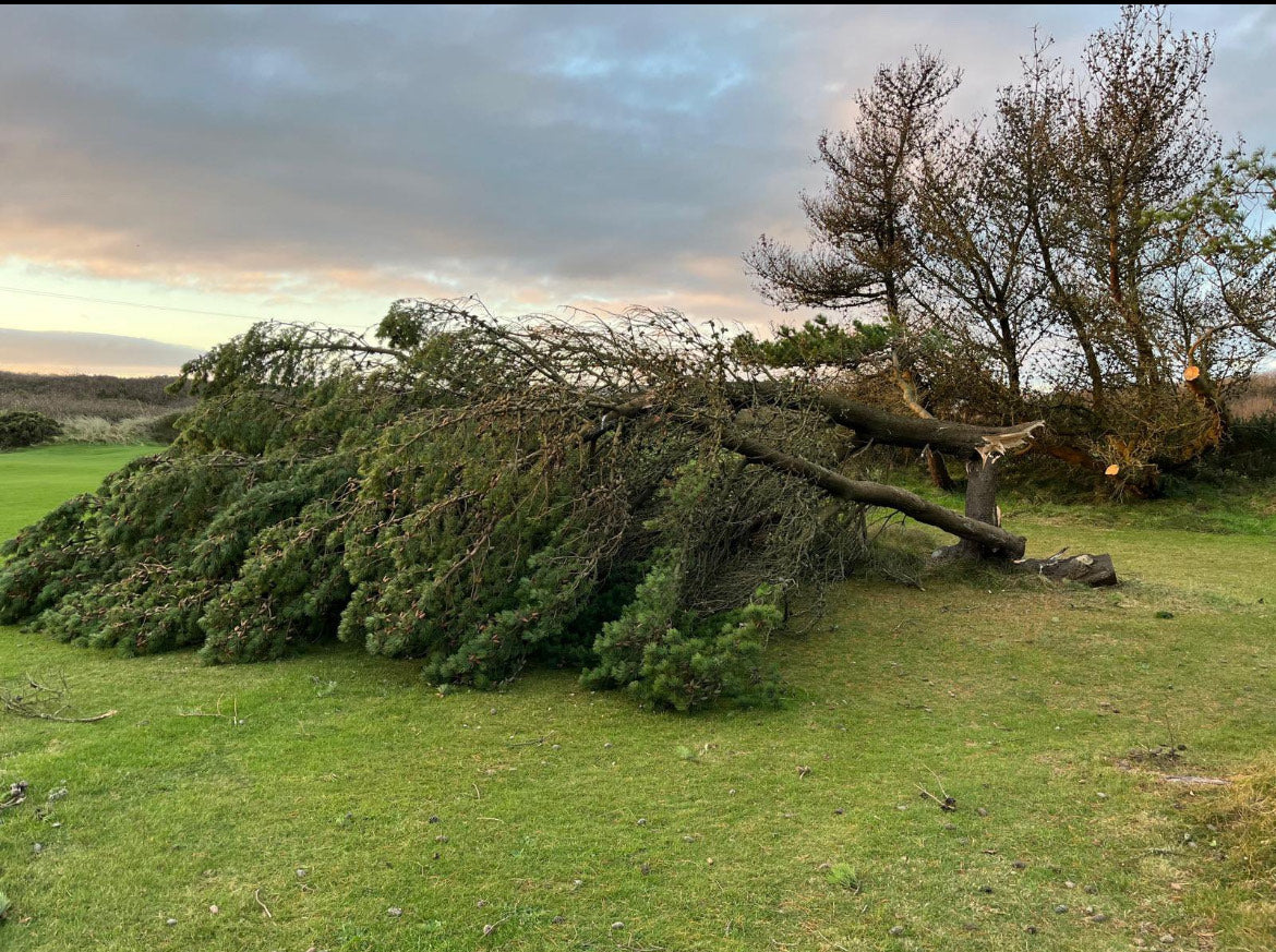 A reflection on Storm Darragh