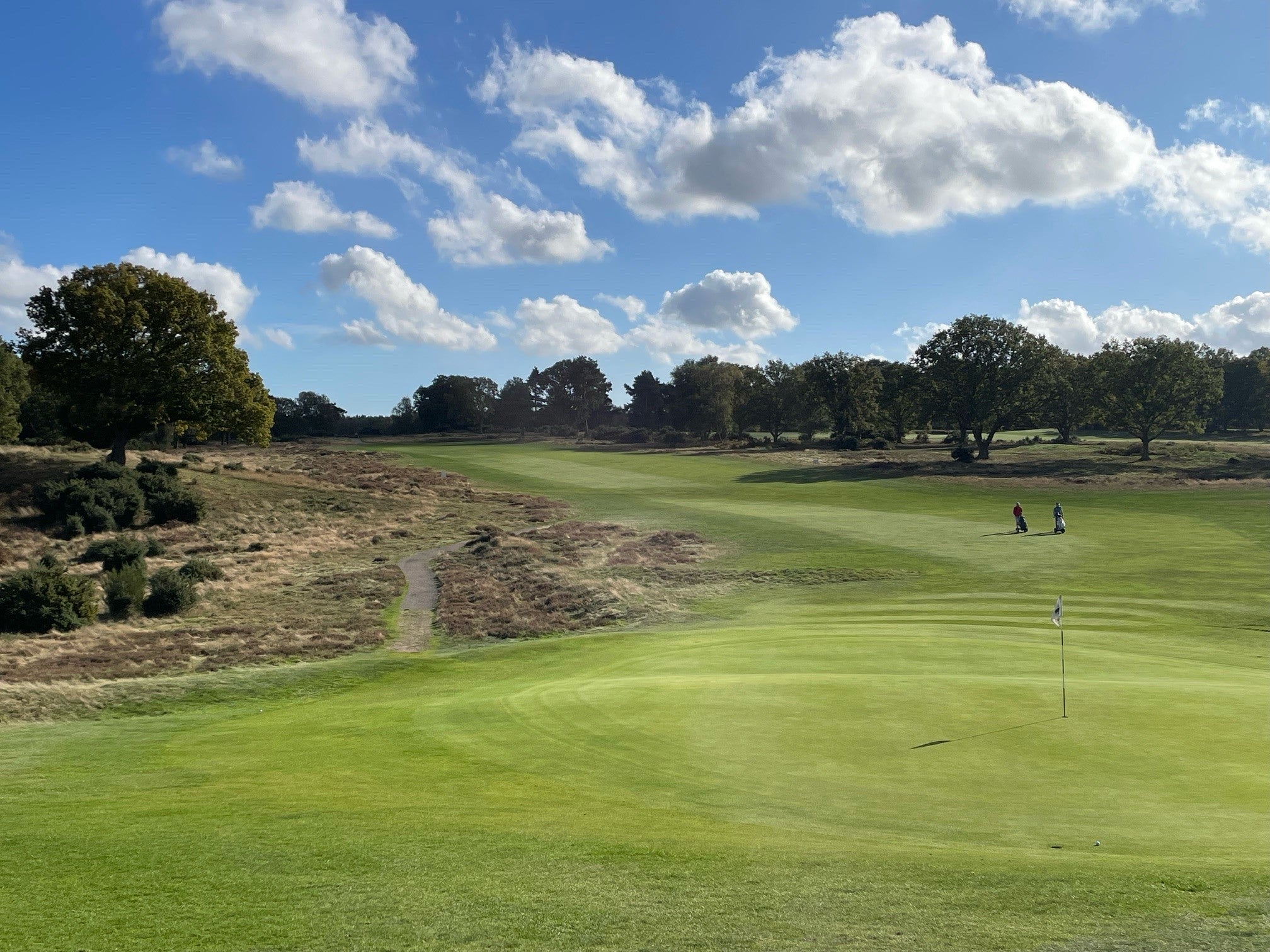 Johnsons delivers over a decade of tried and trusted performance at Woodbridge Golf Club