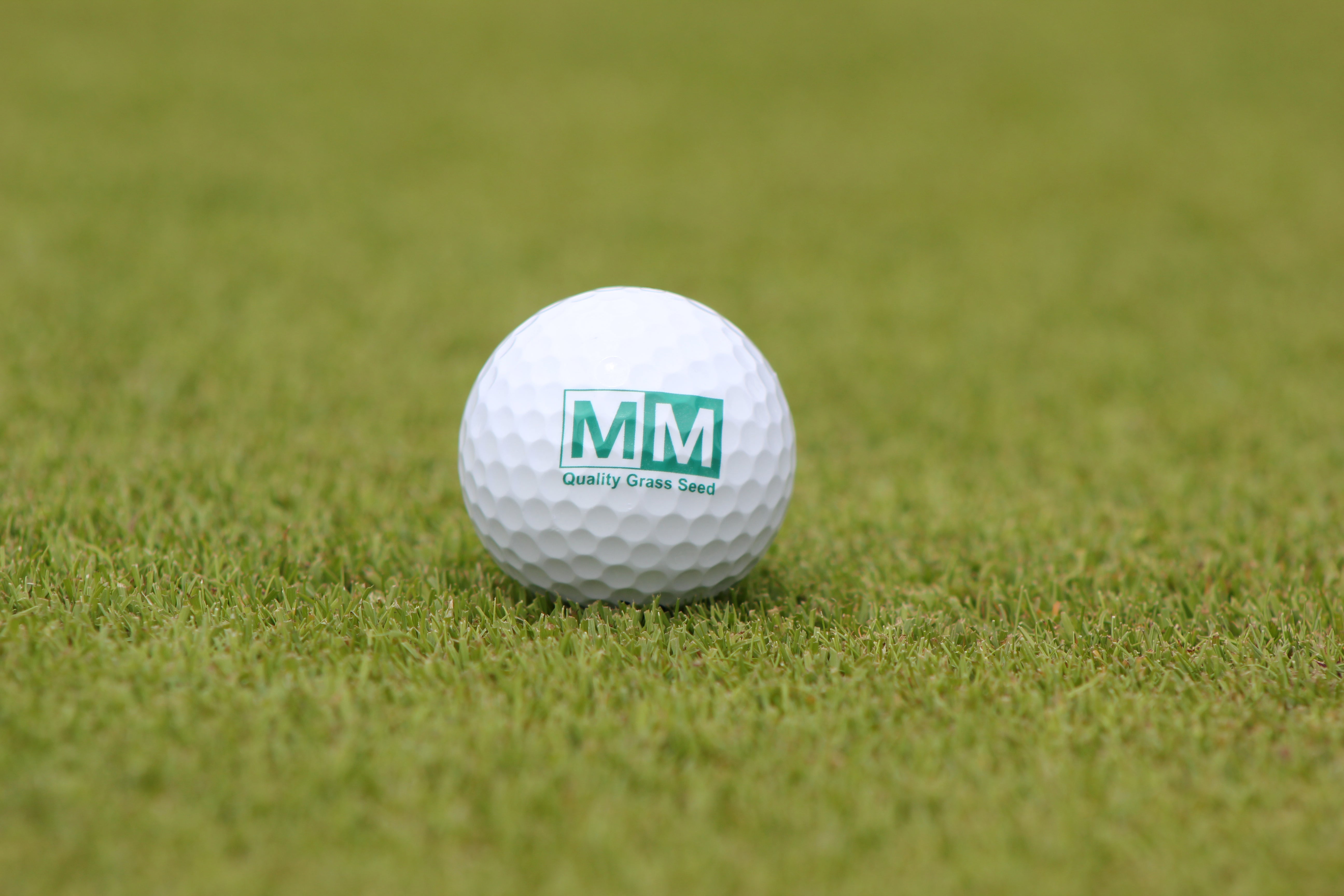 Sustainability meets performance: MM Seed at BTME