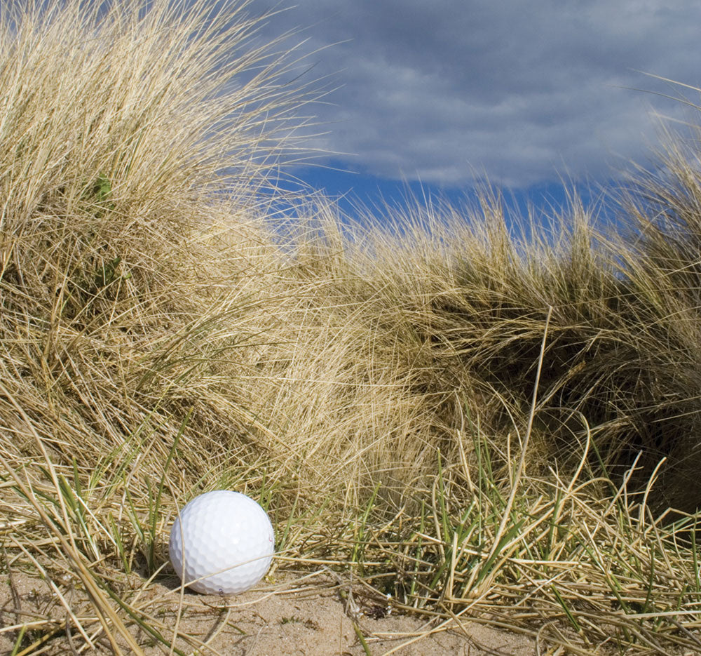 Save the date! It’s World Sand Dune Day – 29th June