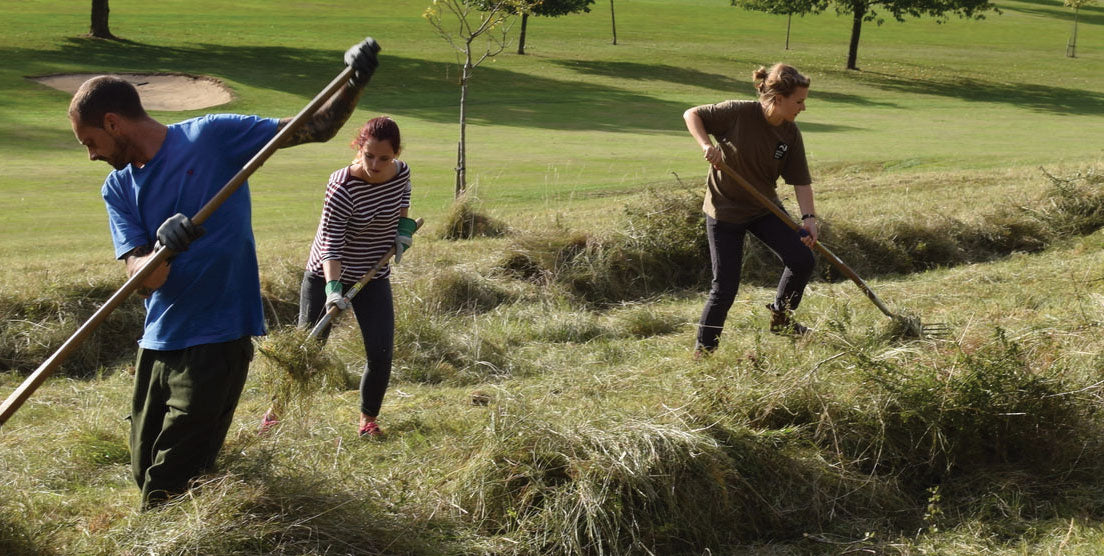 Tees, trees and happy bees…Can courses help to protect the environment?