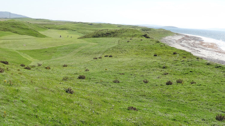 Askernish View