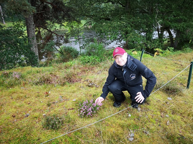 Banchory GC - Richard Mullen with restored heather areas.jpg