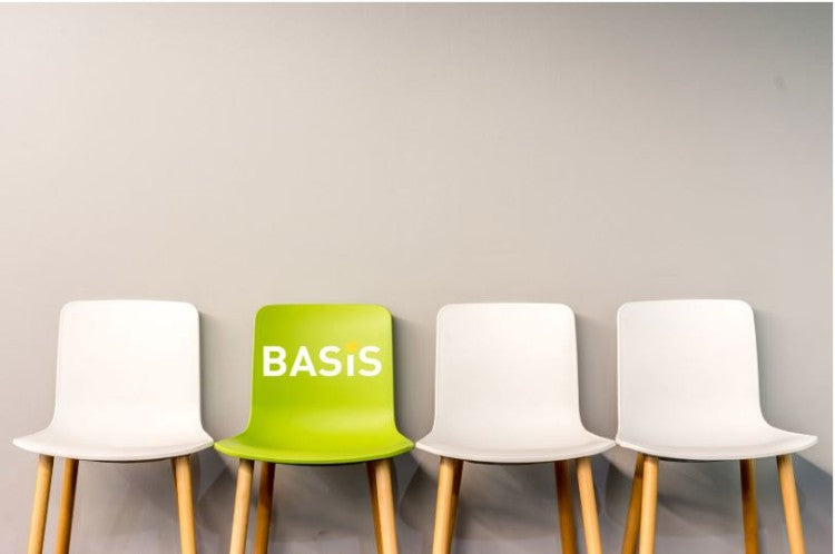 BASIS FACTS chair.JPG