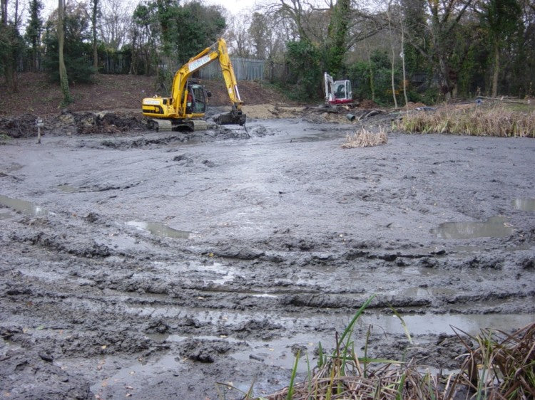 BEFORE  Speedcut at work on the old pond at Sundridge Park Golf Club, Kent, in November DSC00013   Copy