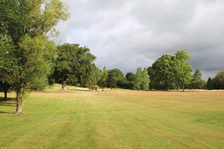 BuilthWells trees