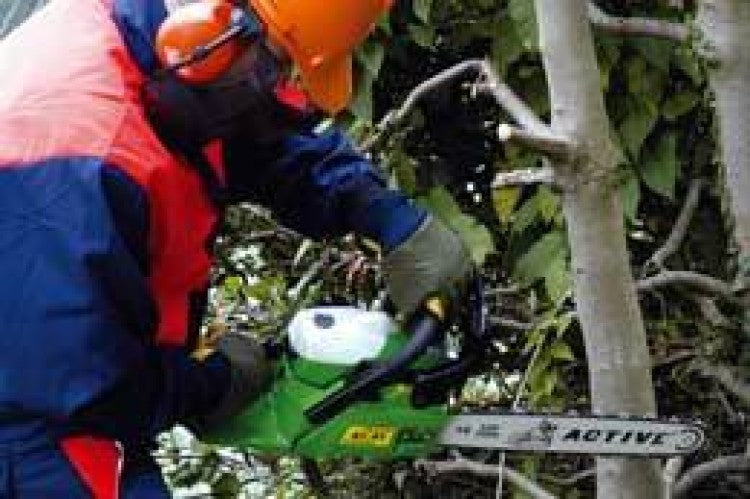 Need a chainsaw? Get Active