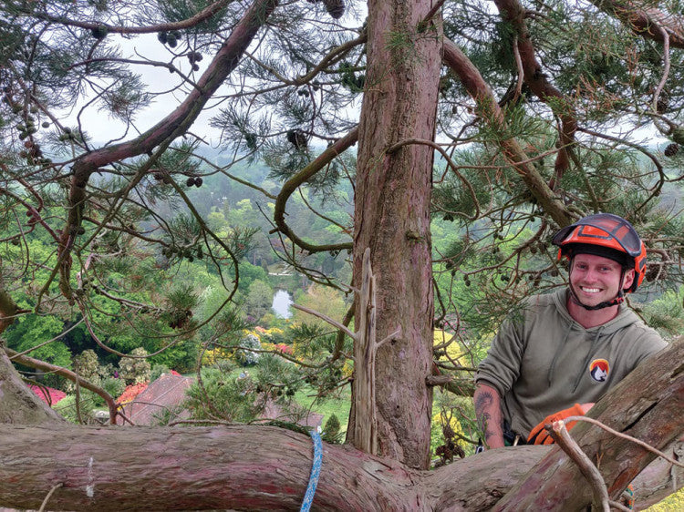 Champion-Trees_Leonardslee-gardening-team.jpg