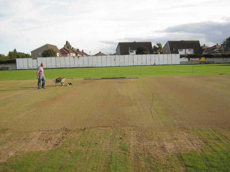 CricketRenovation-AutumnRenovation