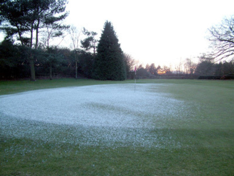 March Golf Diary 2006