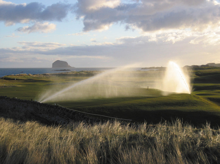 Automatic watering systems Do we need them?