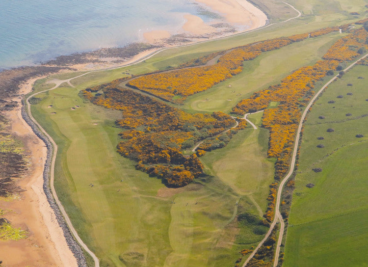 Dornoch7