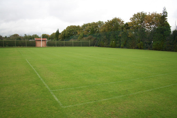 grass tennis court