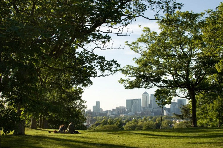 Greenwich Park.jpg