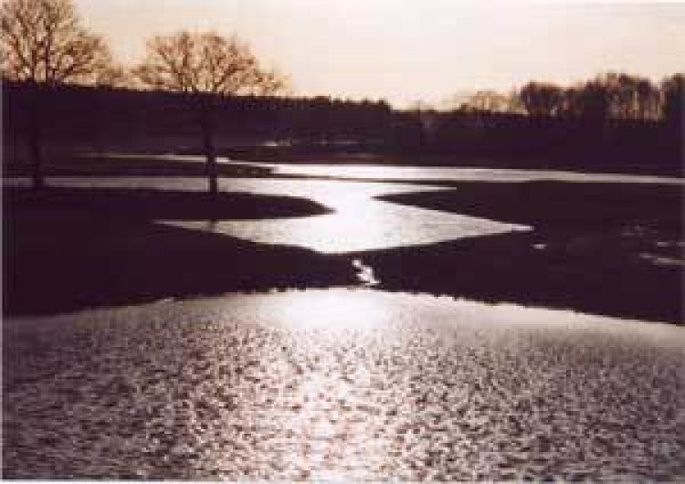 Lakes provide scenic solution to new "Wetland" course