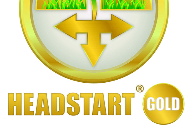 HEADSTART GOLD sml