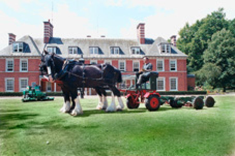 Working horses return to Hyde Park