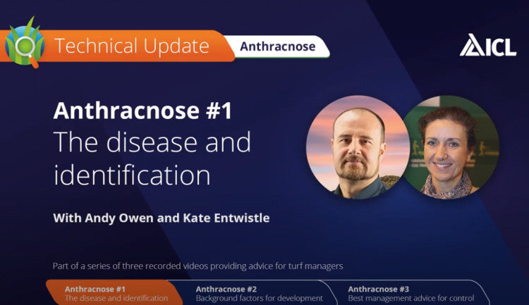 ICL - Anthracnose2.jpg