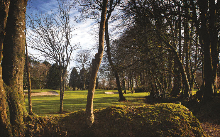 John-Nicholson Monkstown-Golf-Club2