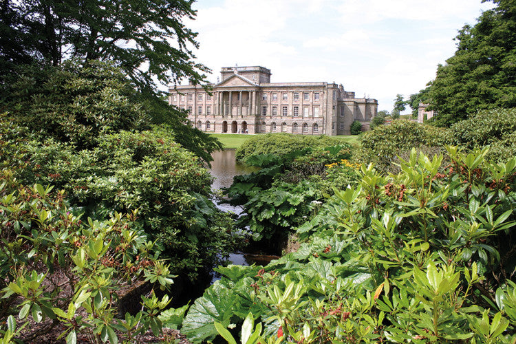 Lyme House&Rhododendrons