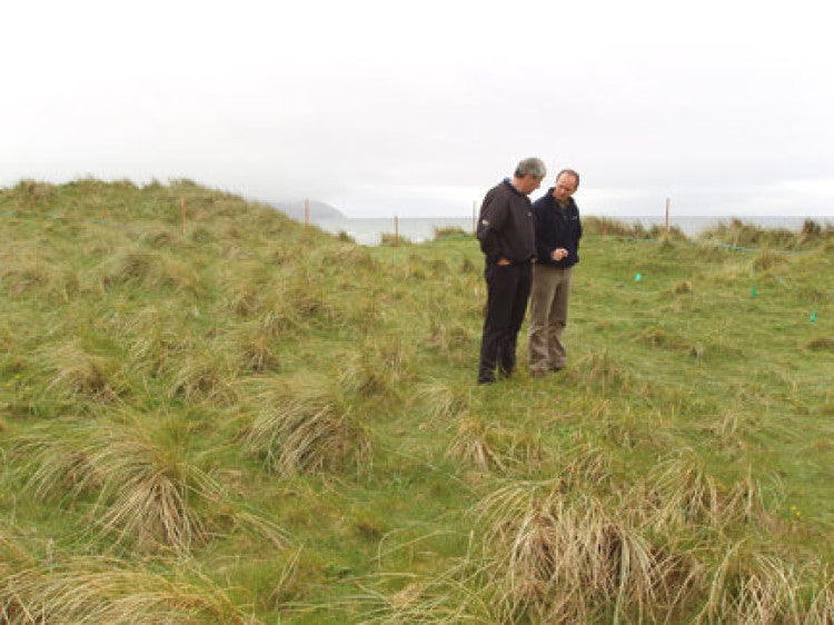 Barenbrug helps Machrihanish Dunes get back to grass roots