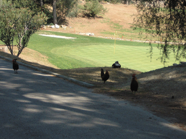 mallorca gc