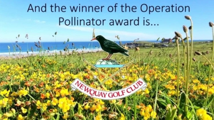 Newquay GC_Operation Pollinator winner.jpg