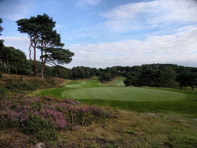 Parkstone Heather Green