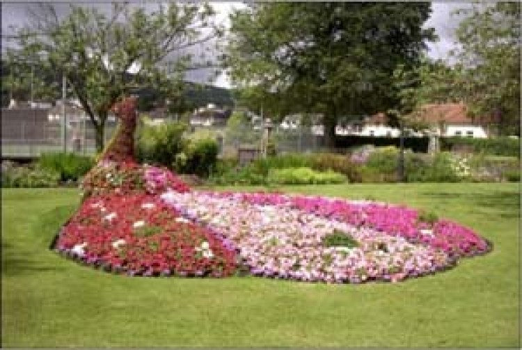 ‘Fred the Peacock’ wins Britain's Best Park