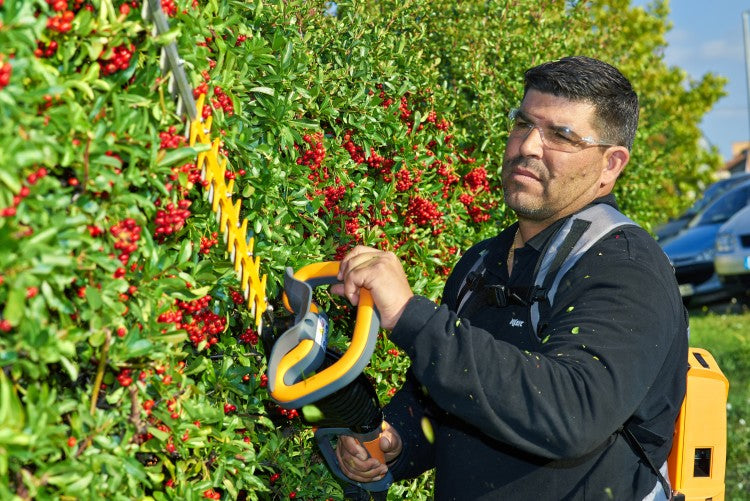 Pellenc Patterons Gardening.jpg