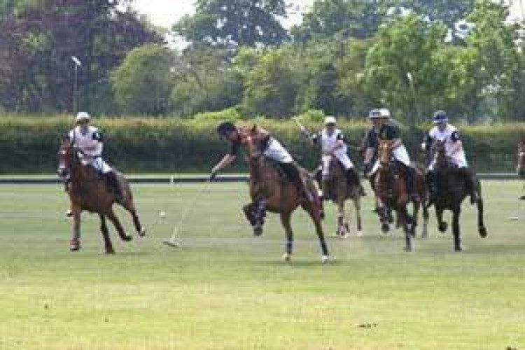 Rugby Polo Club