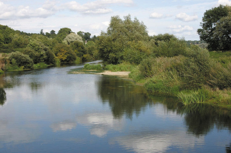 New breakthrough helps trace river pollution