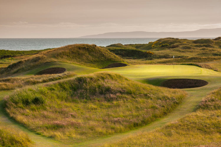 RoyalTroon