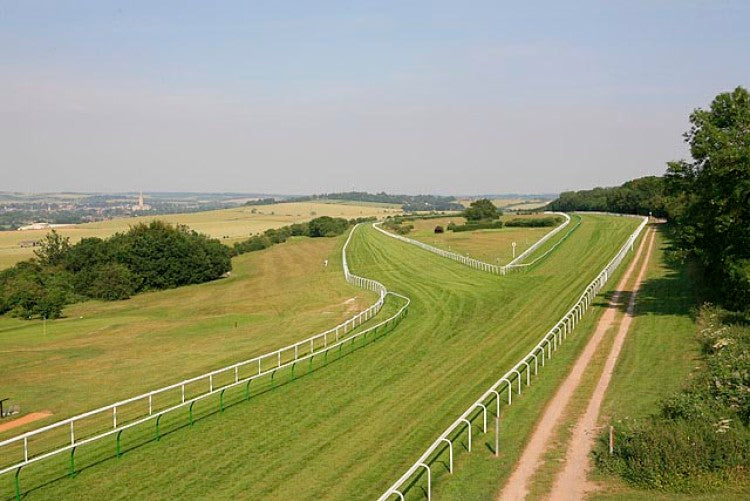 SalisburyRacecourse6.jpg