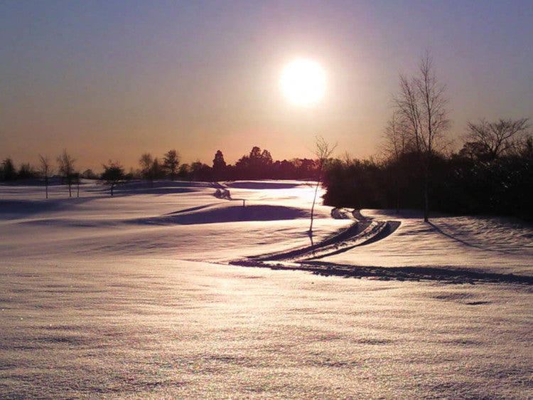 Snow=Golf1