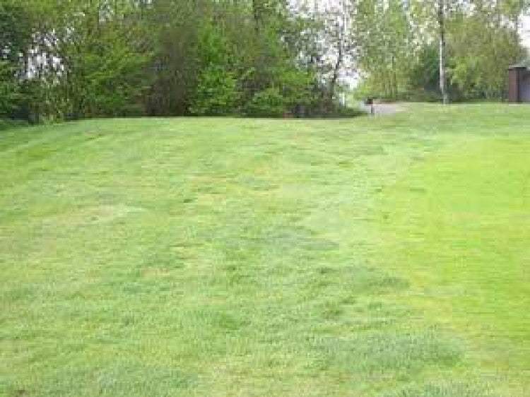 Are your green surrounds a neglected area of your course?