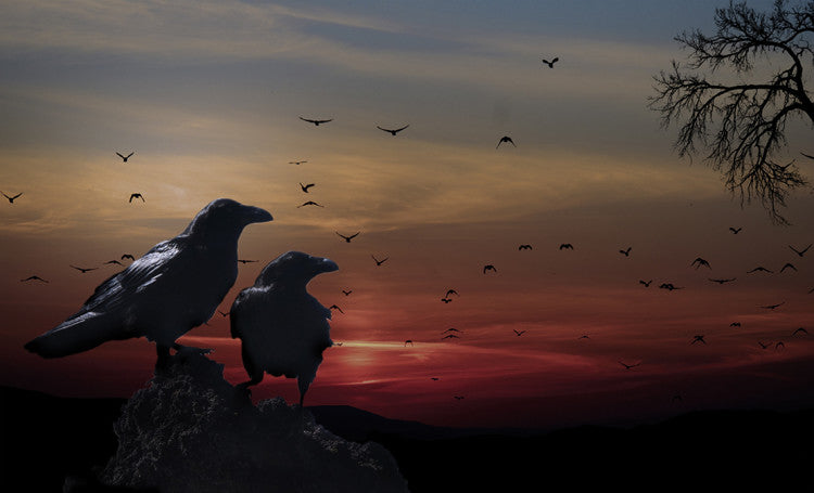 SunsetCrows