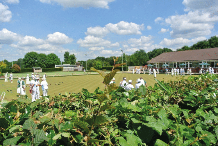 The ladies county match in full flow