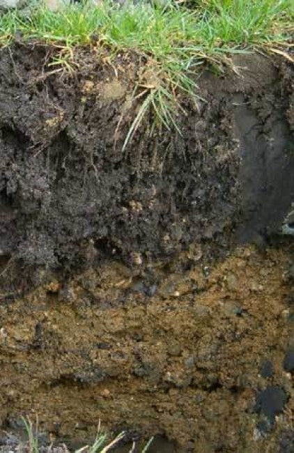 All About topsoil