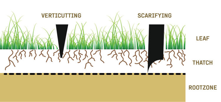 Top-Tips_Verti-cutting-1.jpg