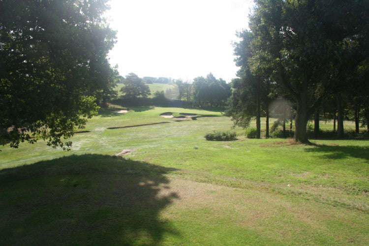 trees on golf