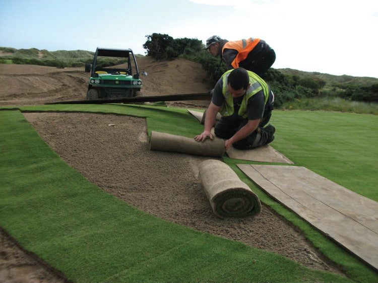 Trump LayingTurf