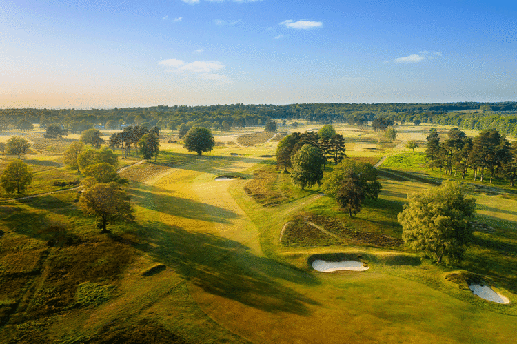 Walton-Heath-Golf-Club-13th-Old-dog-leg-2.gif