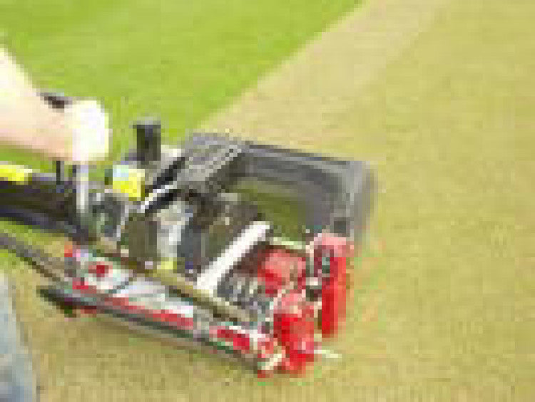 The 'Which style report' on Cricket mowers