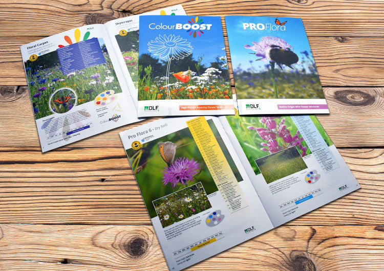 Wild Flower brochures.jpg